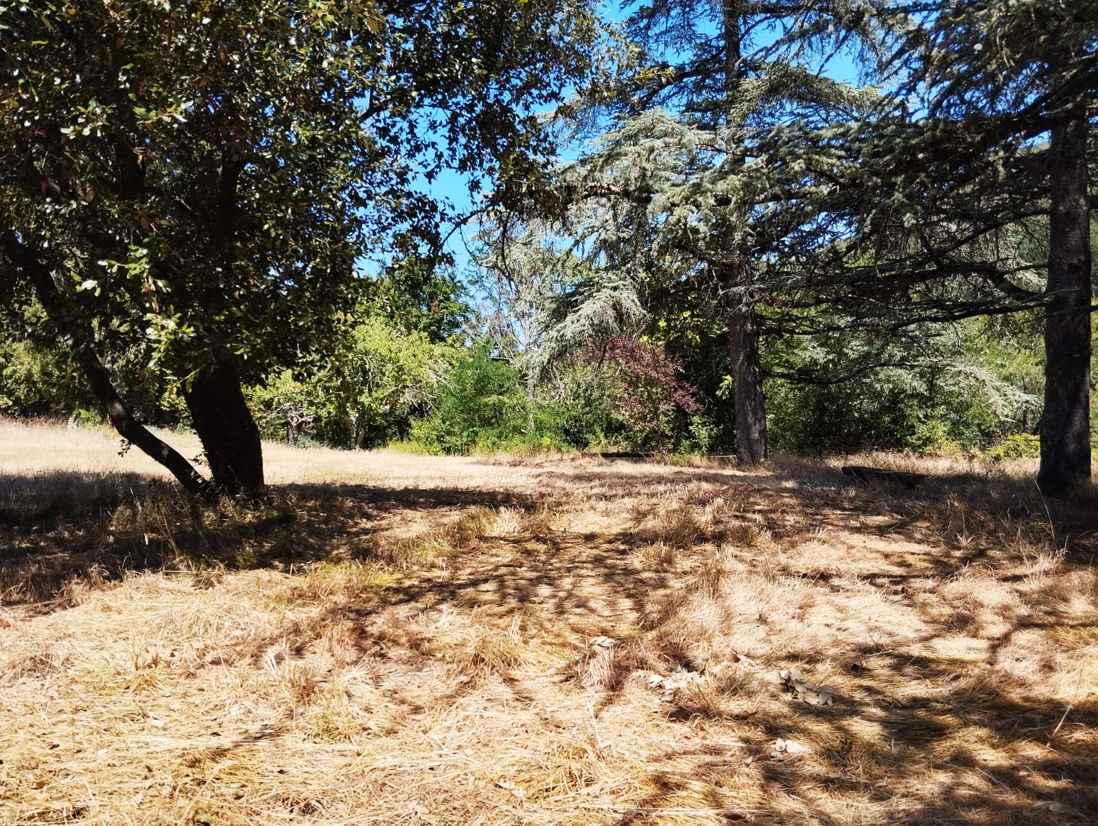 Emplacement Libre (Van, Camping Car)