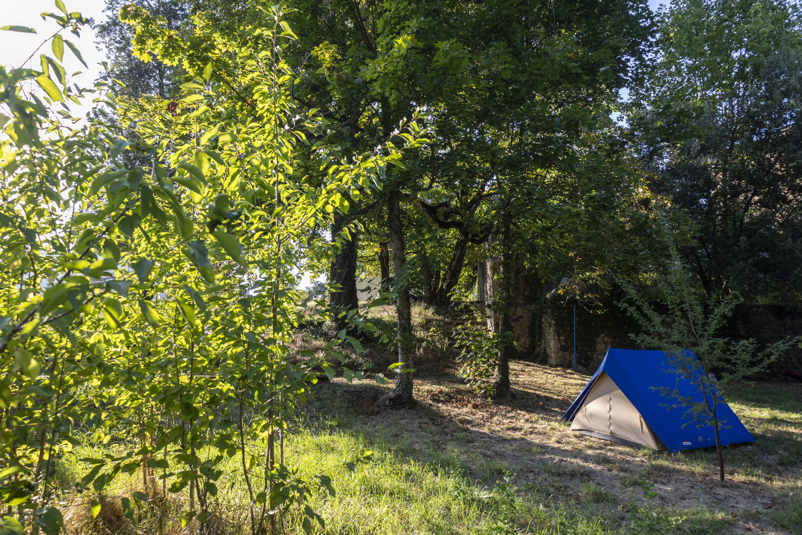 Photo du camping